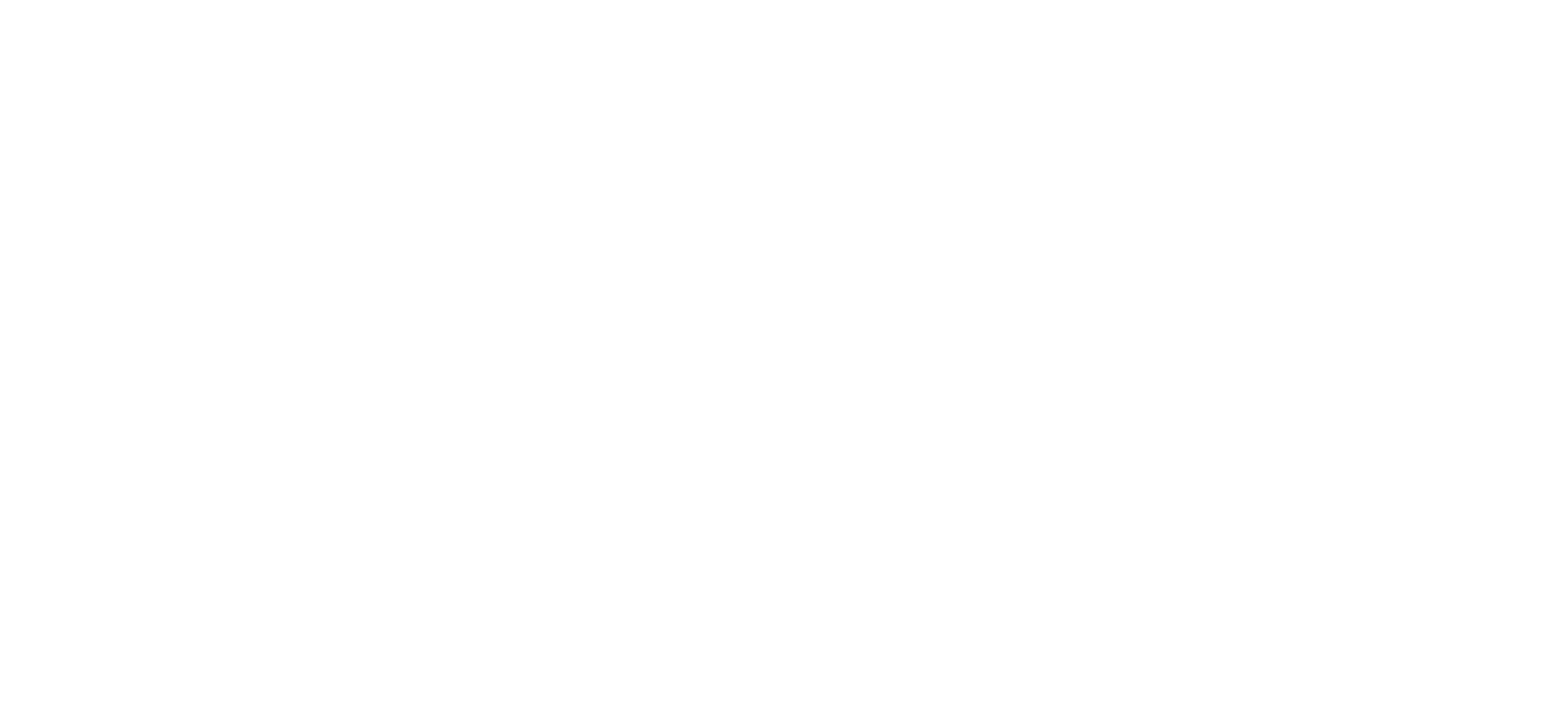 Mega Invest Poland